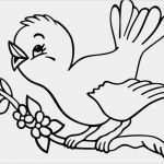 Fensterbilder Vögel Vorlagen Inspiration Vorlage Vogel Zum Ausdrucken 663×513