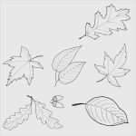 Fensterbilder Vorlagen Kostenlos Bewundernswert 69 Großartig Basteln Vorlagen Kostenlos Ausdrucken Modelle