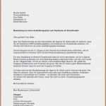 Fensterbilder Vorlagen tonkarton Angenehm Fensterbilder Herbst Vorlagen tonkarton Fensterbild