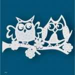 Fensterbilder Weihnachten Vorlagen tonkarton Download Erstaunlich Fensterbilder Picasa Google Keresés