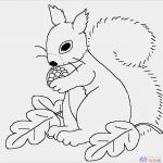 Fensterfarben Vorlagen Großartig 儿童动物简笔画 觅食中的小松鼠 动物简笔画 5068儿童网