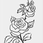 Fensterfarben Vorlagen Wunderbar Darmowy Szablon Malarski Do Wydruku Róża Szablony