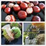 Fenstermalerei Vorlagen Erstaunlich Herbstsammlungen Und Fenstermalerei Mit Vorlage 107qm