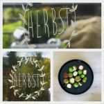 Fenstermalerei Vorlagen Schönste Herbstsammlungen Und Fenstermalerei Mit Vorlage 107qm