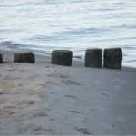 Ferienwohnung Beschreibung Vorlage Wunderbar Ferienwohnung Tropenhaus Typ 2 Leguan Bansin Usedom