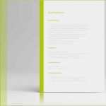 Fertige Homepage Vorlagen Kostenlos Schön Fertige Bewerbung Lebenslauf Beispiel