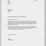 Fertige HTML Vorlagen Kostenlos Süß Fertige Bewerbung Lebenslauf Beispiel