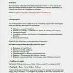 Festival Konzept Vorlage Best Of Businessplan Reiseveranstalter Muster Vorlage Zum Download