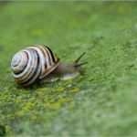 Festnetz Vertrag Kündigen Vorlage Beste Kabel Bw Internet & Festnetz Kündigung Kostenlose Vorlage