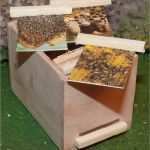 Feuerdrachen Basteln Vorlage Angenehm Arnulfs Playmo Welt original Und Fälschung