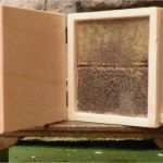 Feuerdrachen Basteln Vorlage Erstaunlich Arnulfs Playmo Welt original Und Fälschung