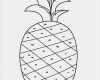 Fexobox Print Vorlage Angenehm Free Printable Pineapple Coloring Pages for Kids