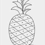 Fexobox Print Vorlage Angenehm Free Printable Pineapple Coloring Pages for Kids