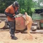 Figuren Aus Holz Sägen Vorlagen Bewundernswert Kreativität Mit Der Kettensäge Kai Gerulat Chainsaw Carving
