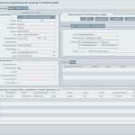 Filemaker Zeiterfassung Vorlage Angenehm Downloads