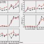 Filemaker Zeiterfassung Vorlage Einzigartig Filemaker Gantt Chart – Vinylskivoritusental