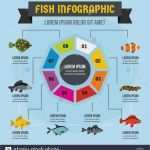 Filmplakat Vorlage Cool Fish Poster Stockfotos &amp; Fish Poster Bilder Alamy