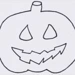 Filzblumen Basteln Vorlagen Cool Blumen Schablonen Zum Ausschneiden