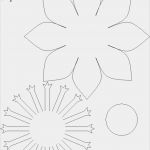 Filzblumen Basteln Vorlagen Erstaunlich Gabarit Carte Fleur Boomer Pinterest