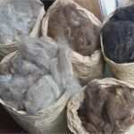 Filztiere Vorlage Best Of Filzkram Juni 2014