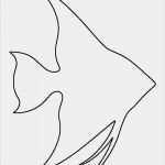 Filztiere Vorlage Genial 13 Besten Filztiere Vorlagen Bilder Auf Pinterest