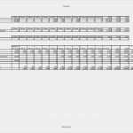 Finanzplan Excel Vorlage Bewundernswert Liquiditätsplanung Excel Vorlage Schönste Finanzplan