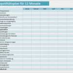 Finanzplan Vorlage Excel Cool Liquiditätsplan Liquiditätsrechnung Finanzplan