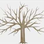 Fingerabdruck Baum Taufe Vorlage Angenehm Fingerabdruck Baum Vorlage &amp; andere Motive Kostenlos Zum