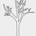 Fingerabdruck Baum Vorlage Luxus Die Besten 25 Baum Vorlage Ideen Auf Pinterest