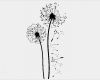 Fingerabdruck Pusteblume Vorlage Neu Wandtattoo Löwenzahn Pusteblume