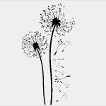 Fingerabdruck Pusteblume Vorlage Neu Wandtattoo Löwenzahn Pusteblume