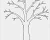 Fingerabdruck Vorlage Wunderbar Fingerabdruck Baum Vorlage