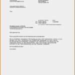Firmen Briefkopf Vorlage Inspiration 17 Anfrage Beispiel Brief