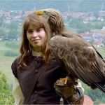 Firmenangebot Vorlage Best Of Kleiner Falkner Firmenangebot