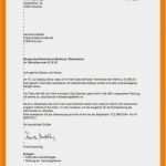 Firmenbriefpapier Vorlage Genial 12 Geschäftsbrief Vorlage