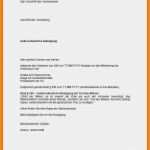 Firmenprofil Muster Vorlage Einzigartig 10 Firmenprofil Muster