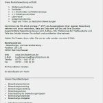 Firmenprofil Muster Vorlage Erstaunlich Bewerbung Hebamme Entbindungspflegerin Ausbildung