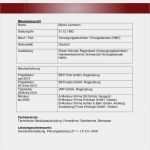 Firmenprofil Muster Vorlage Gut 10 Firmenprofil Muster