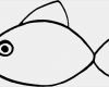 Fisch Taufe Vorlage Genial Kleiner Fisch Ausmalbild & Malvorlage Ics