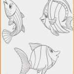 Fisch Taufe Vorlage Schön atemberaubend Vorlage Fisch Taufe Bilder – Malvorlagen