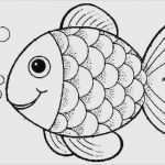 Fisch Vorlage Basteln Best Of Fische Basteln Vorlagen Süß Großzügig Fisch Umriss Vorlage