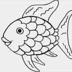 Fisch Vorlage Basteln Schön Fische Basteln Mit Kindern Zum Dekorieren Spielen Und
