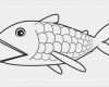 Fisch Vorlage Zum Ausschneiden Hübsch Ausmalbilder Fische 08