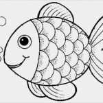 Fisch Vorlage Zum Basteln Angenehm Malvorlage Fisch Zeichnen T Malvorlage Fisch Fische