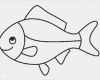 Fisch Vorlage Zum Basteln Angenehm Malvorlagen Fische Zum Ausdrucken