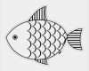 Fisch Vorlage Zum Basteln Elegant Kostenlose Malvorlage Tiere Fisch Zum Ausschneiden Zum