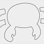 Fisch Vorlage Zum Basteln Hübsch tolle Fisch Vorlage Zum Basteln Zeitgenössisch Framing