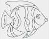 Fische Basteln Vorlagen Angenehm Fische 39 Malvorlagen