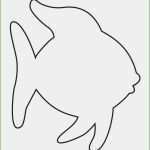 Fische Basteln Vorlagen Best Of Fisch Vorlage Zum Basteln Am Besten Zentangle Vorlagen