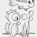 Fische Basteln Vorlagen Wunderbar Fische Basteln Vorlagen Genial Fische 48 Malvorlagen